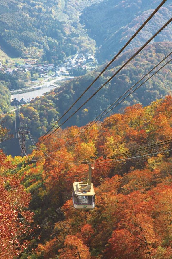 【群馬県内発】 新潟の秋は、美しい。紅葉の絶景空中散歩♪日本最長!苗場ドラゴンドラ&瞬間地上高日本一!田代ロープウェーと苗場プリンスホテルでランチ 日帰り3